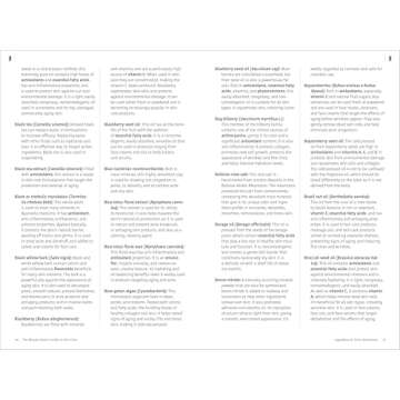 The Beauty Geek's Guide to Skin Care: 1,000 Essential Definitions of Common Product Ingredients