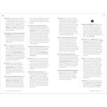 The Beauty Geek's Guide to Skin Care: 1,000 Essential Definitions of Common Product Ingredients