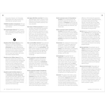 The Beauty Geek's Guide to Skin Care: 1,000 Essential Definitions of Common Product Ingredients