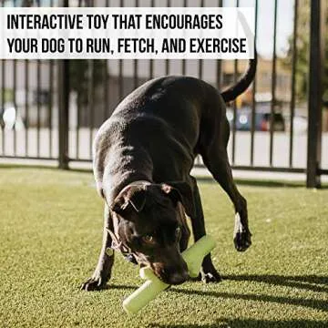 Hyper Pet Fetching Dog Toy - Durable & Floats for Fun