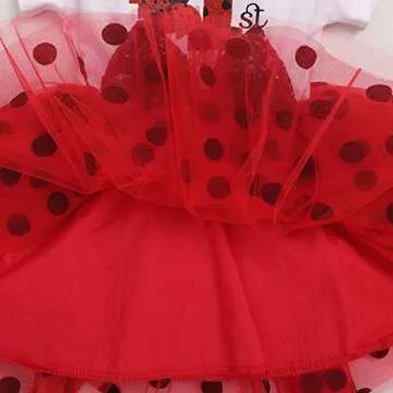 ODASDO Toddler Kids Baby Girl's My 2nd Birthday Cake Smash Outfit Two Years Old Party Ladybug Theme Polka Dots Dress Summer Cotton Short Sleeve Sequin Bowknot Tulle Skirt Headband Set Red
