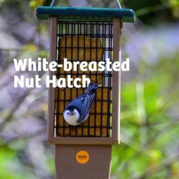 Birds Choice Pileated Suet Bird Feeder w/ Extra Long Tail Prop, Holds 2 Suet Cakes - Durable Recycled Material, Taupe w/ Green, 8"L x 3"W x 22.5"H