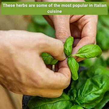Italian Herb Garden Seed Collection for Fresh Cooking