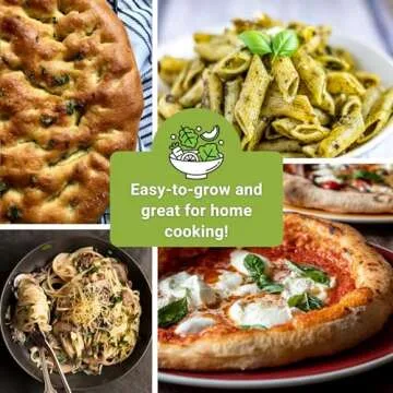 Italian Herb Garden Seed Collection for Fresh Cooking