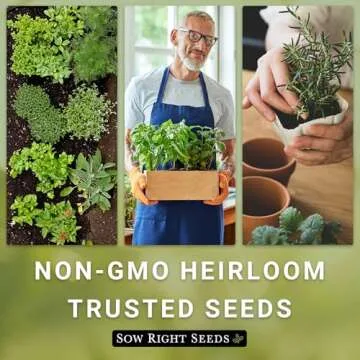 Italian Herb Garden Seed Collection for Fresh Cooking