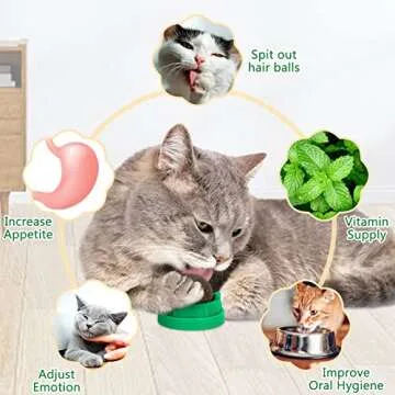 OHALEEP Catnip Ball for Cats - Safe Edible Toy Pack