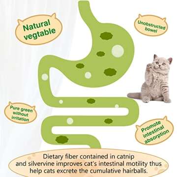 OHALEEP Catnip Ball for Cats - Safe Edible Toy Pack