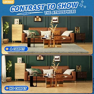 LOCHAS Ultra Soft Area Rug for Kids & Living Room