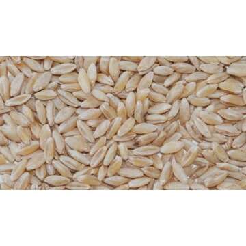 Organic Soft White Winter Wheat Berries 50 lbs.
