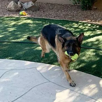 Jalousie 18 Pack Dog Squeaky Toys Cute Stuffed Pet Plush Puppy Chew for Small Medium Pets - Bulk