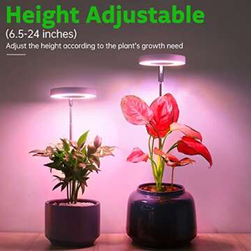 ROMSTO Grow Lights - Adjustable LED Plant Lighting