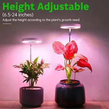 ROMSTO Grow Lights - Adjustable LED Plant Lighting
