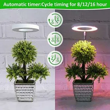ROMSTO Grow Lights - Adjustable LED Plant Lighting