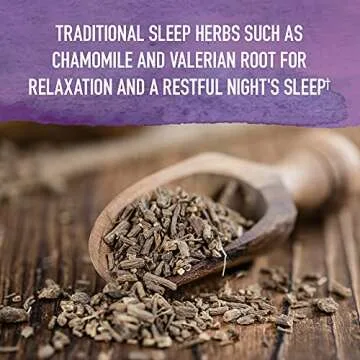 Garden of Life Organics Elderberry Immune Support for Kids with Zinc, Vitamin C - Kids Elderberry & Sleep Immune Syrup Liquid, Bedtime Herbs for Children, No Alcohol, No Added Sugar, 3.92 fl oz