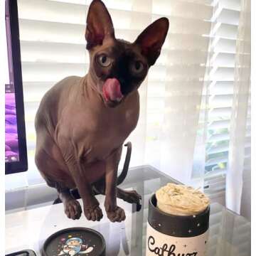 Catbuzz Premium Organic Catnip for Healthy Cat Playtime