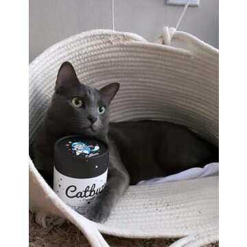 Catbuzz Premium Organic Catnip for Healthy Cat Playtime