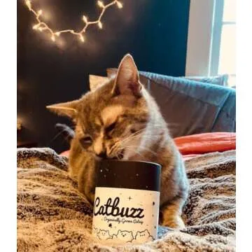 Catbuzz Premium Organic Catnip for Healthy Cat Playtime