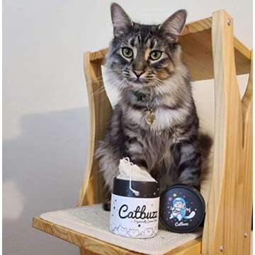 Catbuzz Premium Organic Catnip for Healthy Cat Playtime