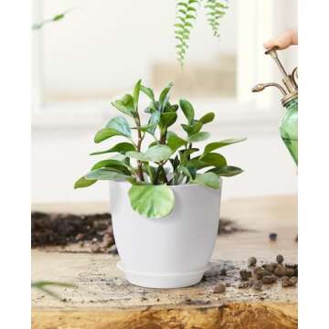 Homenote 7/6/5.5/4.8/4.5 Inch Modern Plastic Planter, White - Indoor Plant Pot with Drainage Hole & Tray for Succulents, Flowers, Cactus