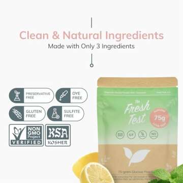 The Fresh Test, 75-gram Powder Drink Mix | Additive-Free, Non-GMO, Organic Ingredients | Mint Lemonade