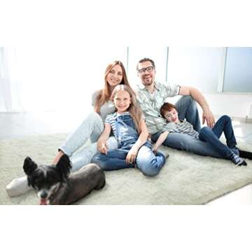 LOCHAS Ultra Soft Indoor Modern Area Rugs Fluffy Living Room Carpets for Children Bedroom Home Decor...