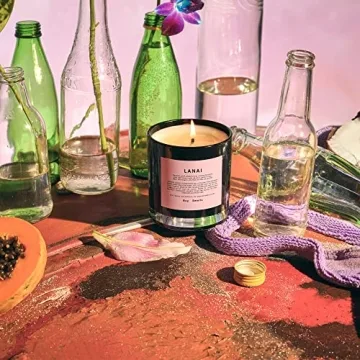 Lanai Boy Smells Candle - 50 Hour Luxury Scented Candle