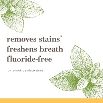 Burt's Bees Fluoride Free Toothpaste, Zen Peppermint 4.7oz