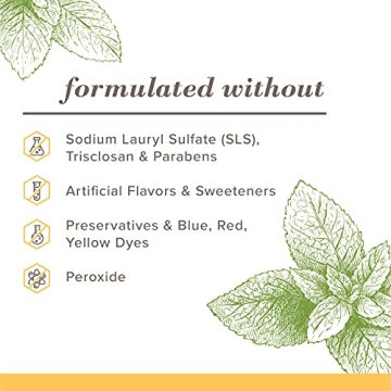 Burt's Bees Fluoride Free Toothpaste, Zen Peppermint 4.7oz