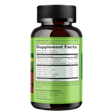 NATURELO Vegan Iron Supplement with Vitamin C and Organic Whole Foods - Gentle Pills for Women & Men w/Iron Deficiency Including Pregnancy, Anemia Diets 90 Mini Capsules