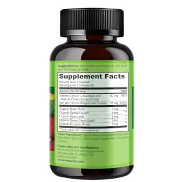 NATURELO Vegan Iron Supplement with Vitamin C and Organic Whole Foods - Gentle Pills for Women & Men w/Iron Deficiency Including Pregnancy, Anemia Diets 90 Mini Capsules
