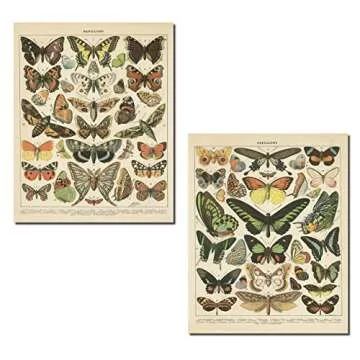 Gango Home Décor Popular Vintage French Types of Papillons Butterflies Set; Two 16x20in Fine Art Gi...
