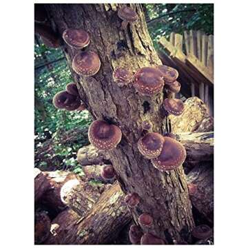 Grow Delicious Shiitake Mushrooms at Home