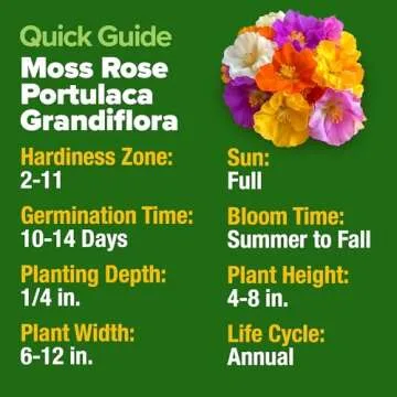 HOME GROWN Moss Rose Seeds (Bulk Pack) Annual Flower Seeds for Ground Cover - Heirloom Non-GMO Portu...