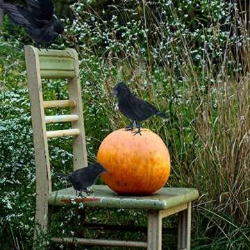 Realistic Feathered Crow Props for Halloween Decor