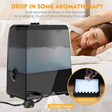 TTLIFE 6L Warm & Cool Mist Humidifiers - Family Comfort