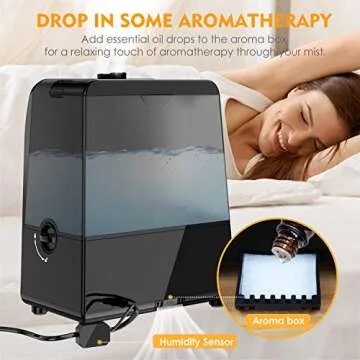 TTLIFE 6L Warm & Cool Mist Humidifiers - Family Comfort