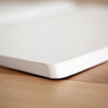 NSS Standard Tomoe River Journal A5 480 Pages Unknown Binding