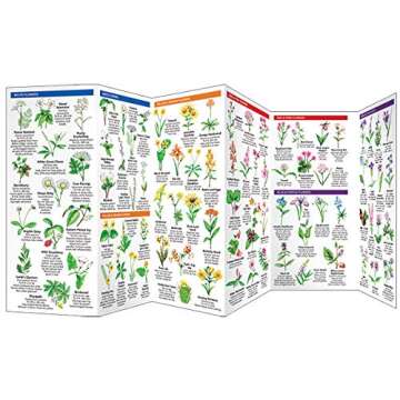 Virginia Trees & Wildflowers: A Folding Pocket Guide to Familiar Plants (Nature Observation North America)