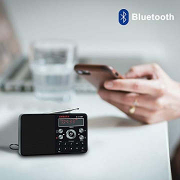 XHDATA D-318BT Portable MP3 Player with FM Radio