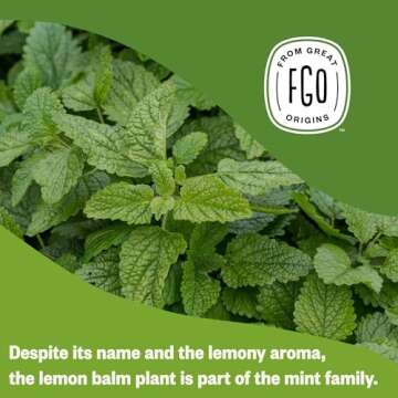 FGO Organic Lemon Balm Tea, 100 Count, Eco-Conscious Herbal Tea Bags, Resealable Bag, Caffeine Free, Packaging May Vary (Pack of 1)