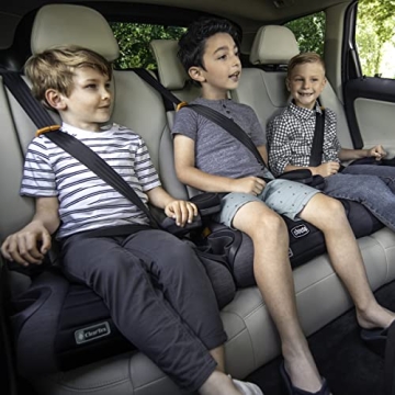 Chicco GoFit ClearTex Booster Seat for Kids on the Go