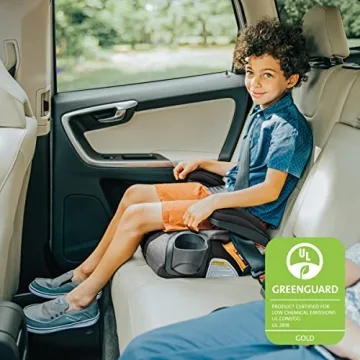 Chicco GoFit ClearTex Booster Seat for Kids on the Go