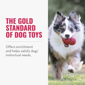 KONG Classic Stuffable Dog Toy  for Extra Large Dogs