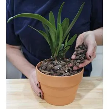 All Purpose Orchid Mix Potting Soil for Indoor Plants