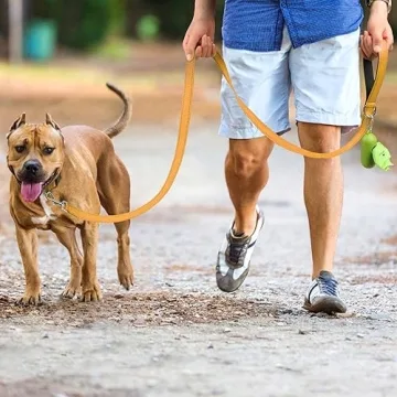 Joytale Reflective Dog Leash Safe Durable Stylish Night Walks