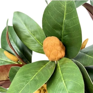 Faux Magnolia Branches - 4 Pack of 32 inch Artificial Stems