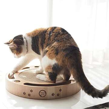 Stylish Interactive Track Ball Cat Scratcher for Play