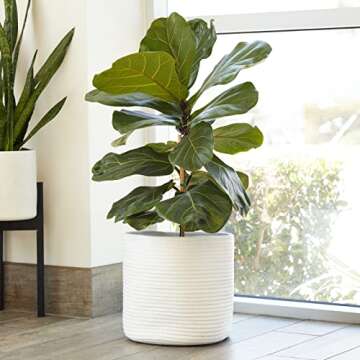 Juvale 2 Pack White Woven Basket Planters for Indoor Plants with Plastic Liner, Bohemian Style Decor...