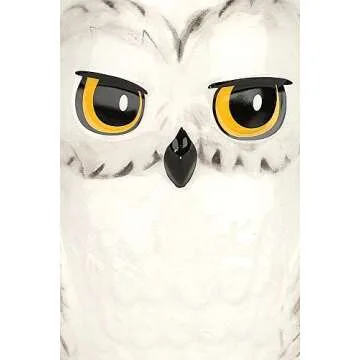 Half Moon Bay MUGDHP01 Ceramic Mug Shaped Boxed (425ml) - Harry Potter (Hedwig)