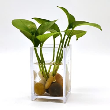 1lb Natural Polished Pebbles for Garden & Aquarium